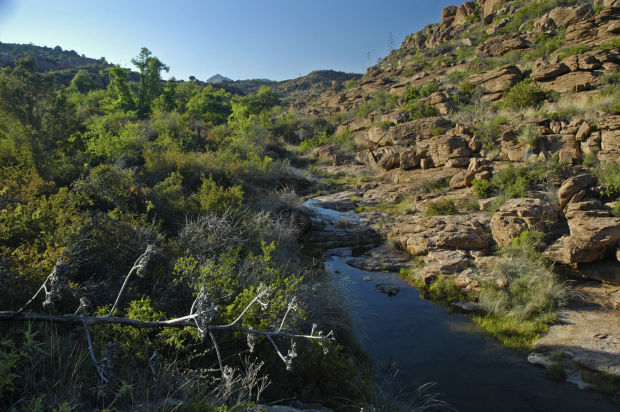 Apaches protestan contra proyecto minero en Oak Flats, sitio sagrado en Arizona