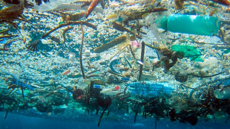 Día internacional sin bolsas de plástico: bolsas cero; residuo cero