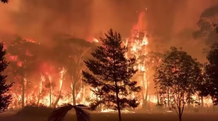 No es el cambio climático, es el modelo: Australia en llamas y el sistema de pie