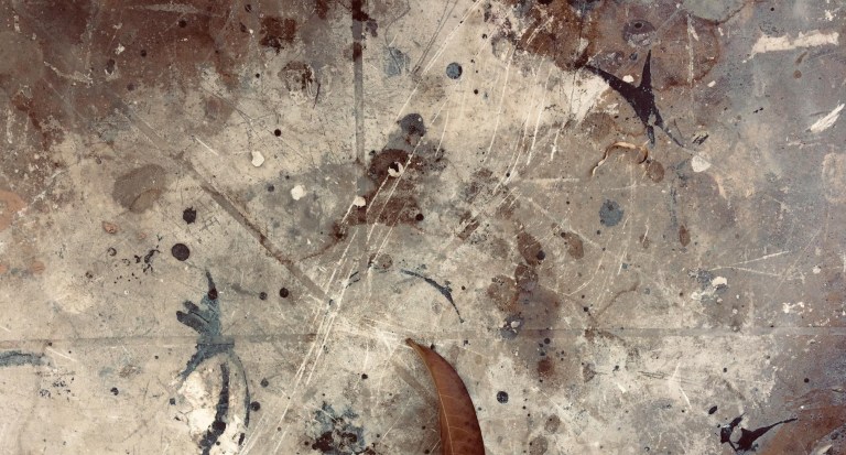 Las manos llenas de palabras