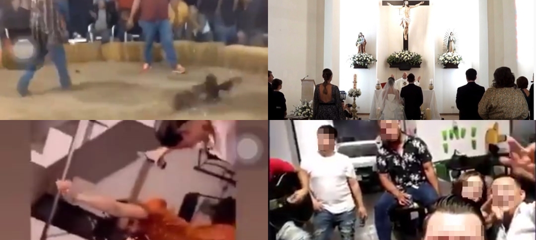 Bodas, peleas de gallos y fiestas el fin de semana, “No hubo incremento en la movilidad”: Dr. Álvarez