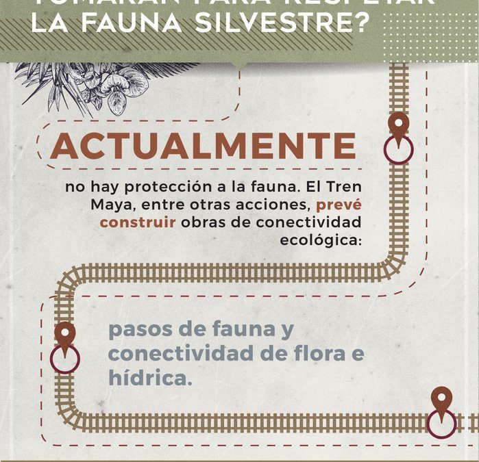 SOBRE EL TREN MAYA, NOTAS
