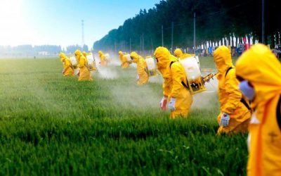 Nuestra primavera robada: un futuro en jaque