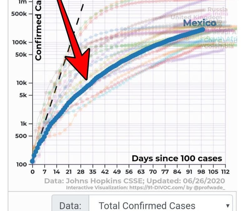 Primeras lecciones de la epidemia: ¿Dudas científicas o certeras falacias?