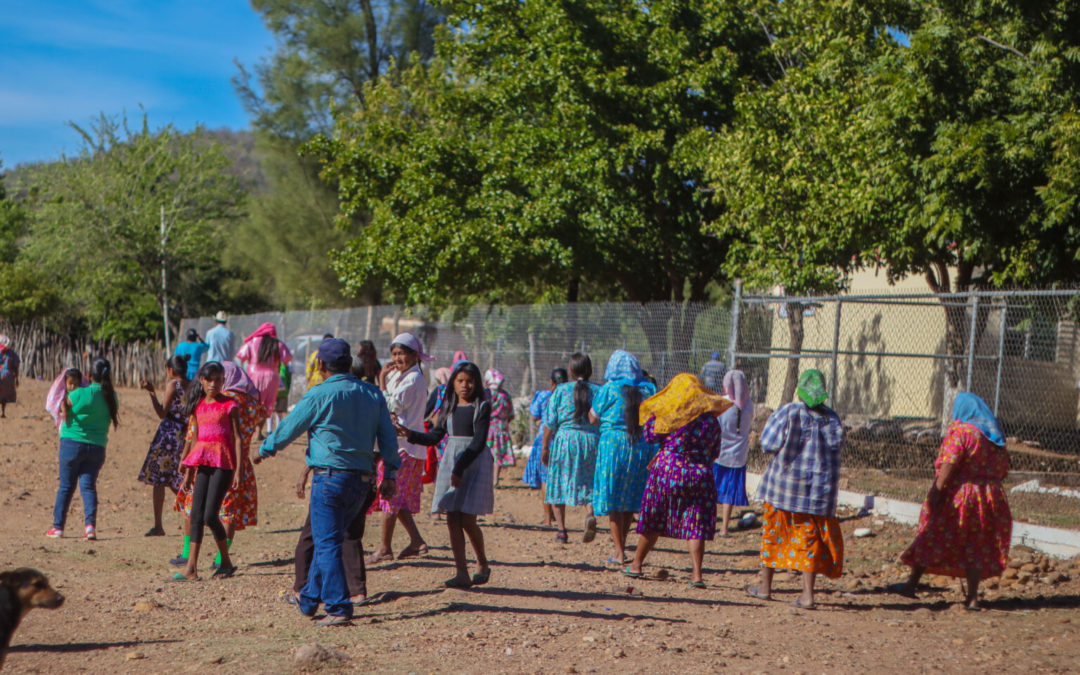 Anuncian «puente aéreo» para llevar alimentos y atención médica a guarijíos