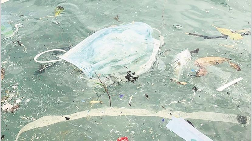 sus200420-006f01_crop1587337375394.jpg_258117318