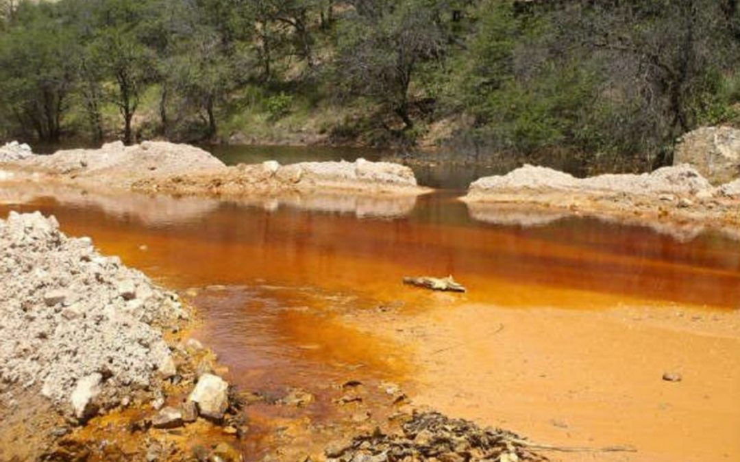 Frente a seis años de promesas incumplidas, seis acciones urgentes para el Río Sonora
