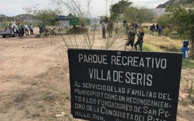 Convergencia ambientalista