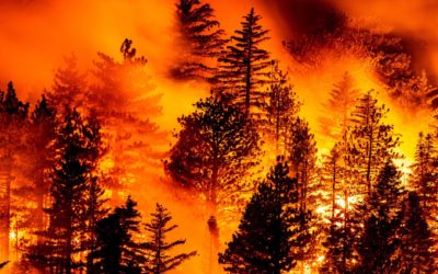 Temporada de incendios