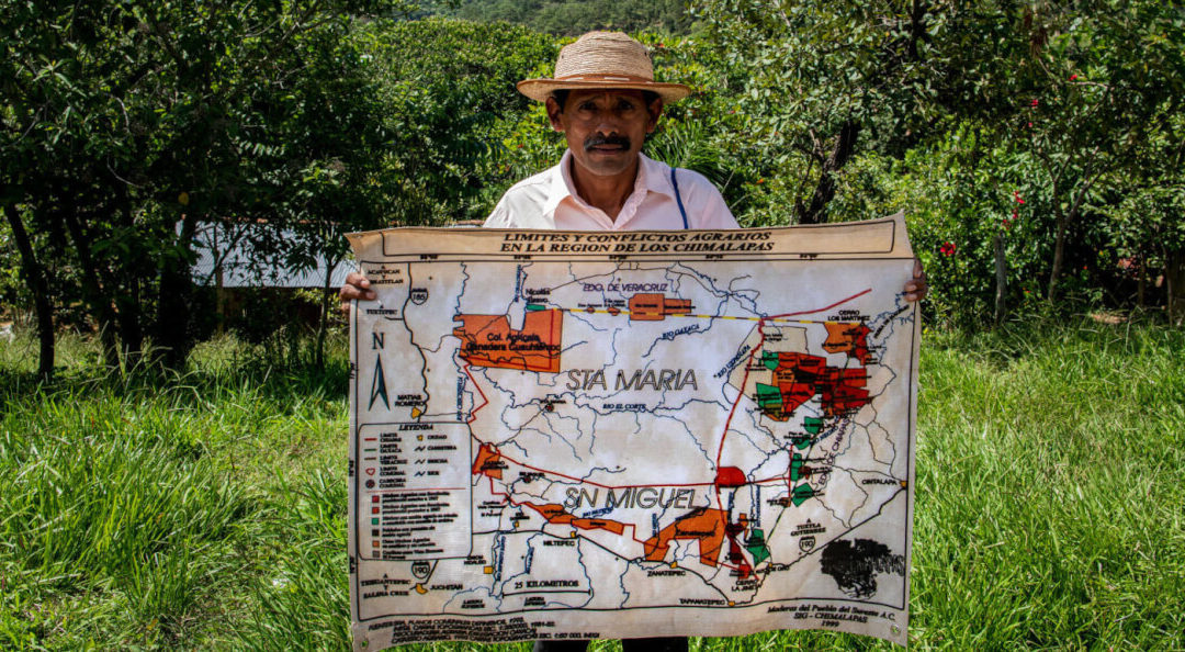 Manifiesto internacional en defensa de la selva de Los Chimalapas