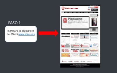 El experimento virtual en el STAUS y sus consecuencias