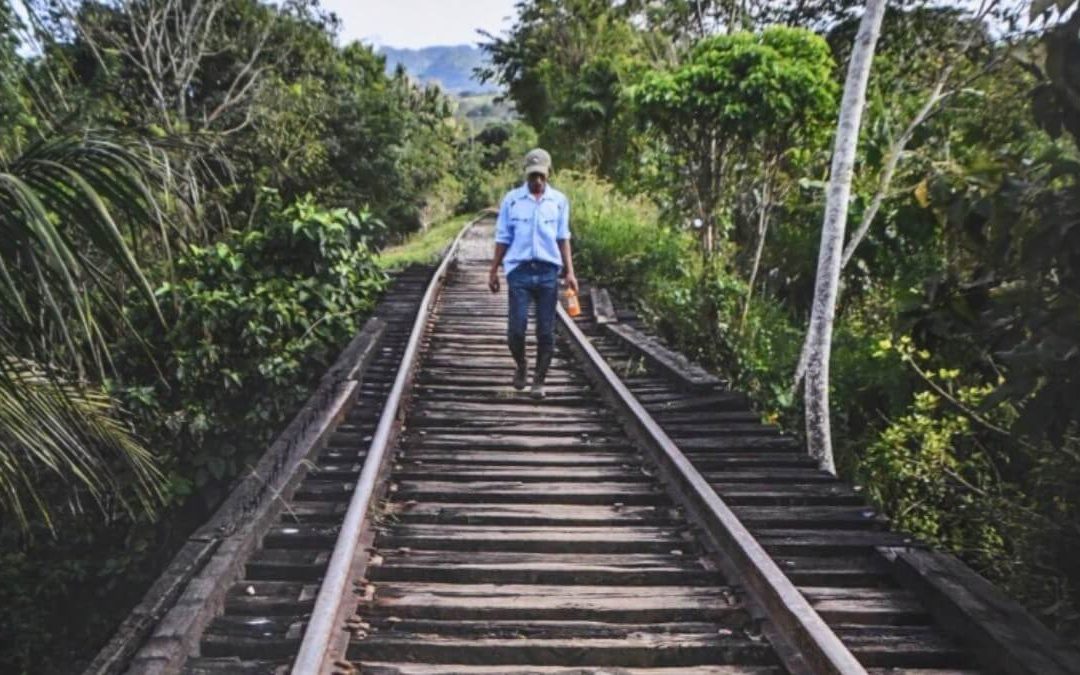 Defensores contra el Tren Maya denuncian robos y amenazas en Campeche