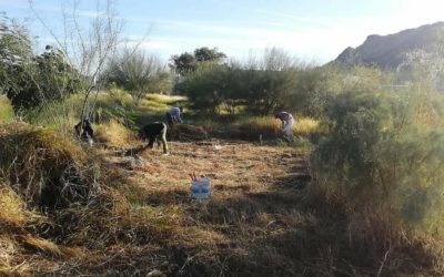 Tres intentos para consumar un atraco