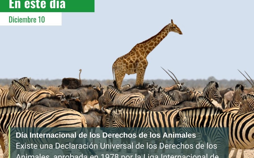 Proclamación de la Declaración Universal de los Derechos de los Animales