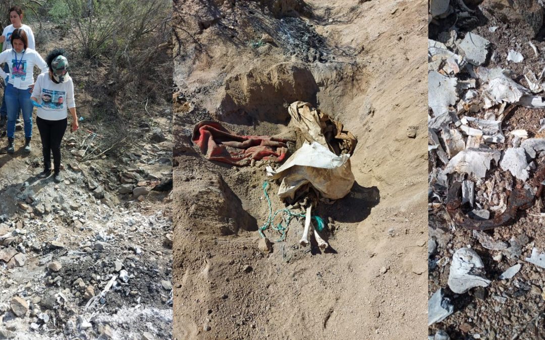 Buscadoras encuentran restos de 7 personas calcinadas en el Molino de Camou; podría haber más