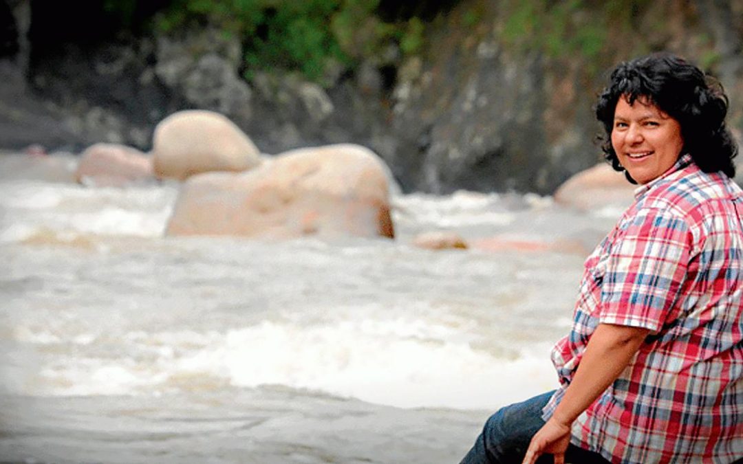 5 años, 50 años. La siembra de Berta