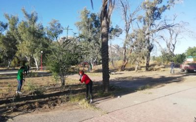 60 jornadas en La Sauceda