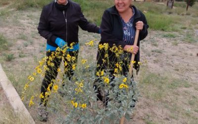 La pala y el talacho, La Sauceda  y el Parque de Villa De Seris