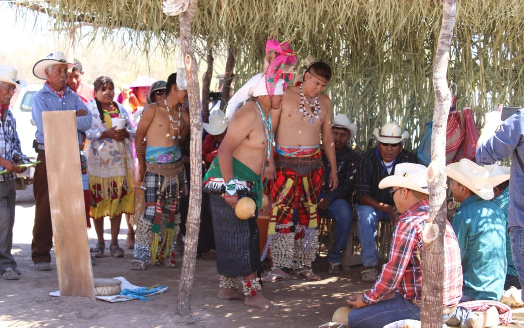 Inicia construcción de la Universidad del Pueblo Yaqui
