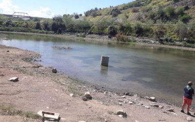 Por la conservación del Humedal