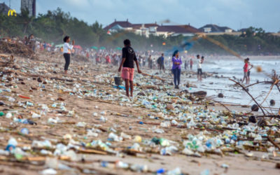 Cuando la basura plástica nos alcanzó