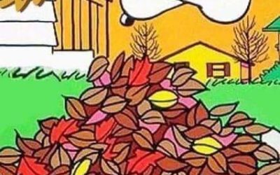 ¡El otoño ha llegado!