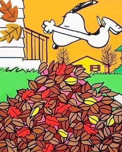 ¡El otoño ha llegado!