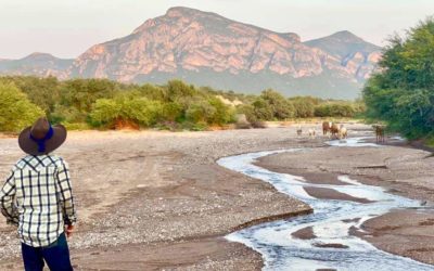 Fabulas de Tigreamor