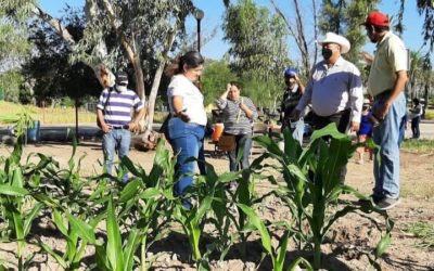 La Sauceda, tiempo de definiciones