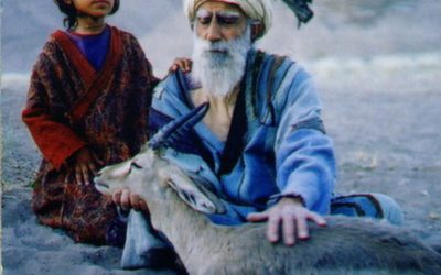 100 cuentos para sanar