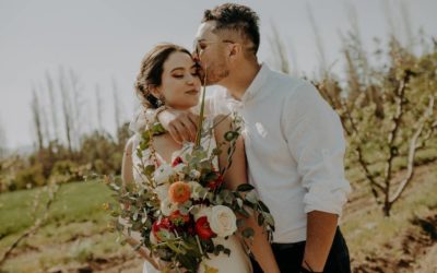 100 cuentos para sanar (84 y 83)