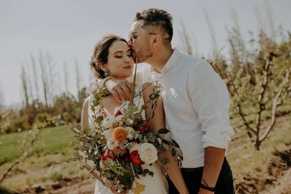 100 cuentos para sanar (84 y 83)