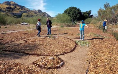 Benditas redes sociales