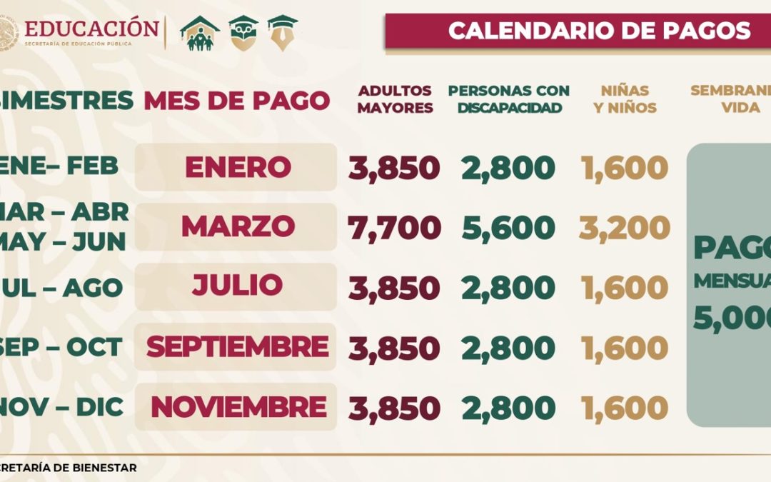 Por veda electoral, adultos mayores recibirán un bimestre adelantado de pensión