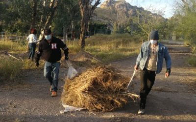 Dos años de limpieza y reforestación de La Sauceda