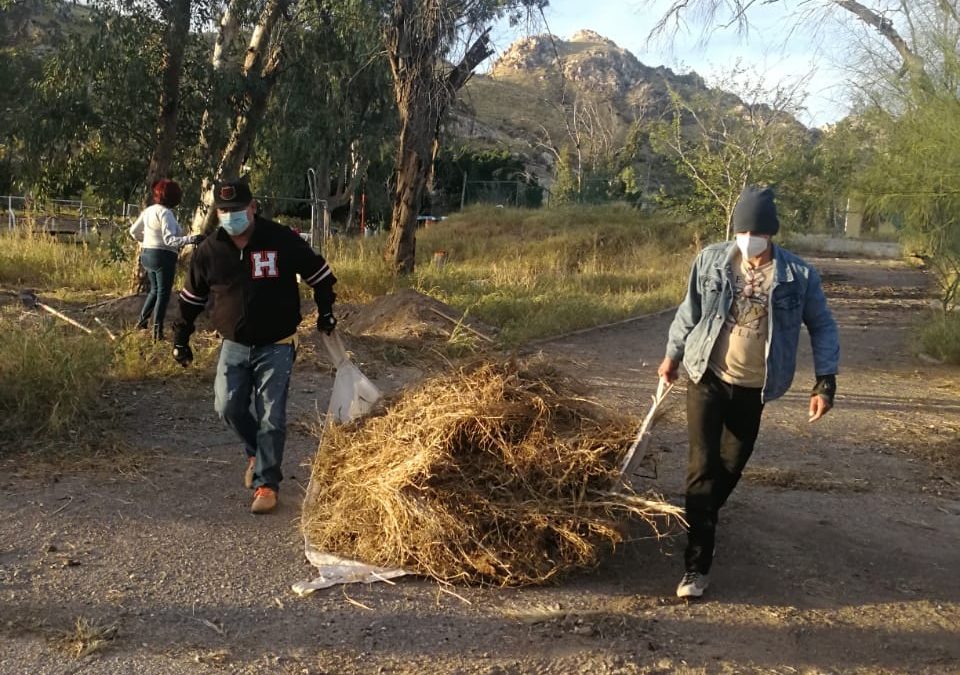 Dos años de limpieza y reforestación de La Sauceda