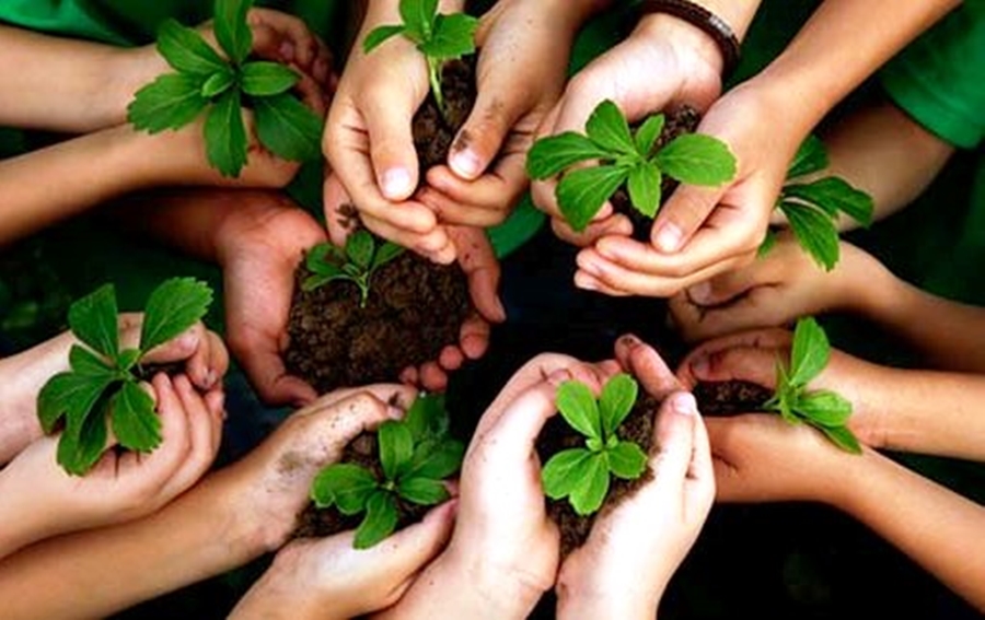 Congreso de Sonora aprueba ley para crear Premio a la Responsabilidad Medioambiental