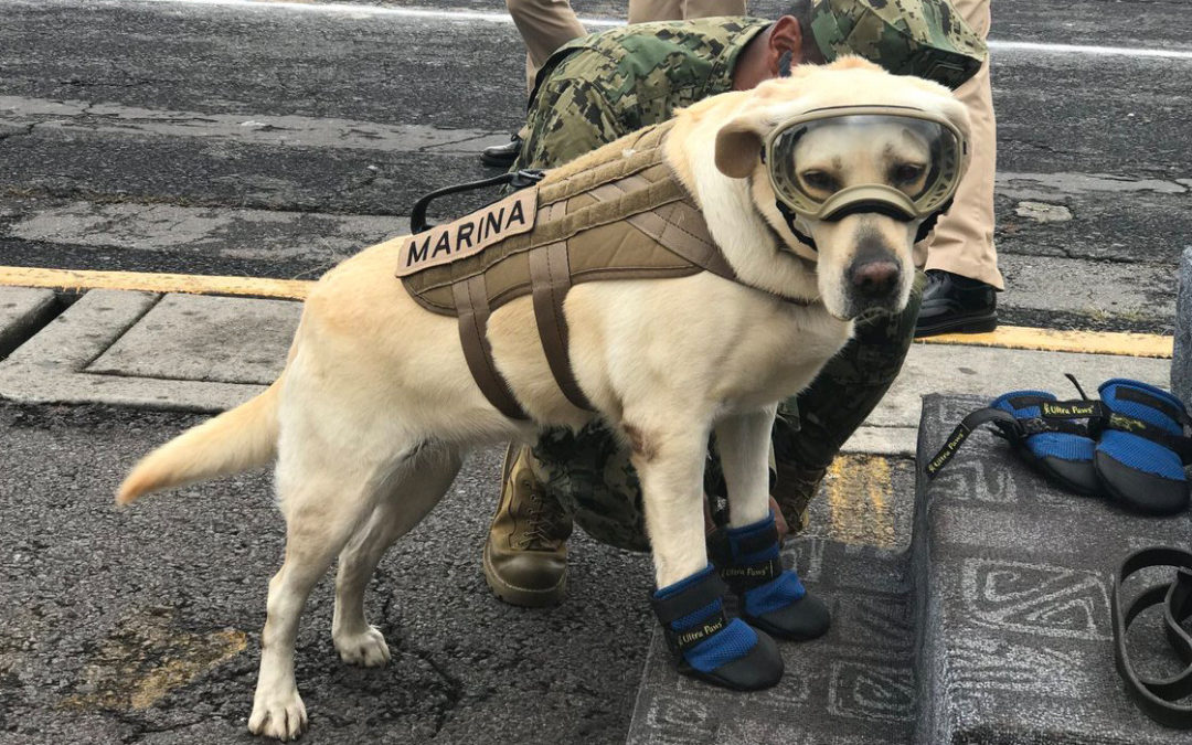 Frida se encuentra delicada de salud