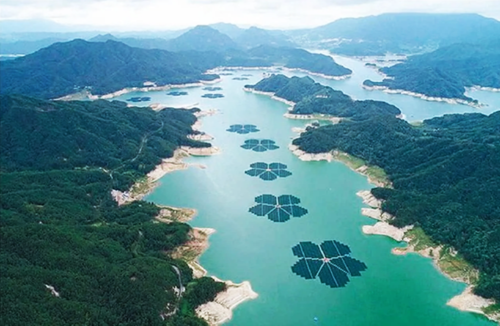 Panales-solares-con-forma-de-flor
