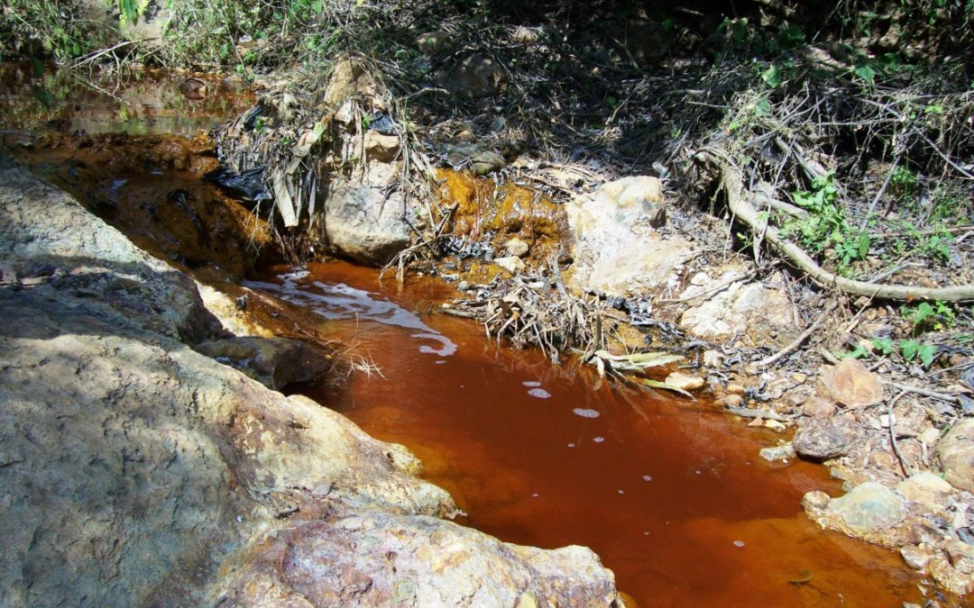 Los Comité de Cuenca se levantan temporalmente de la mesa: “no hay avances claros”