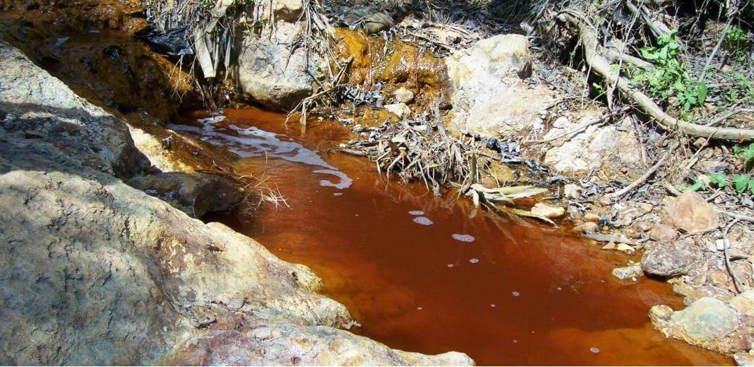 Reporte de primeros resultados de afectaciones a la salud, medio ambiente, a la economía y potabilizadoras en el Río Sonora