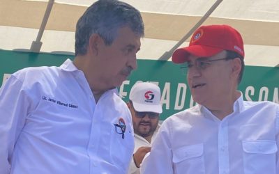 Democratizar al STAUS, ¡vaya tarea!