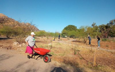 Hablemos de La Sauceda
