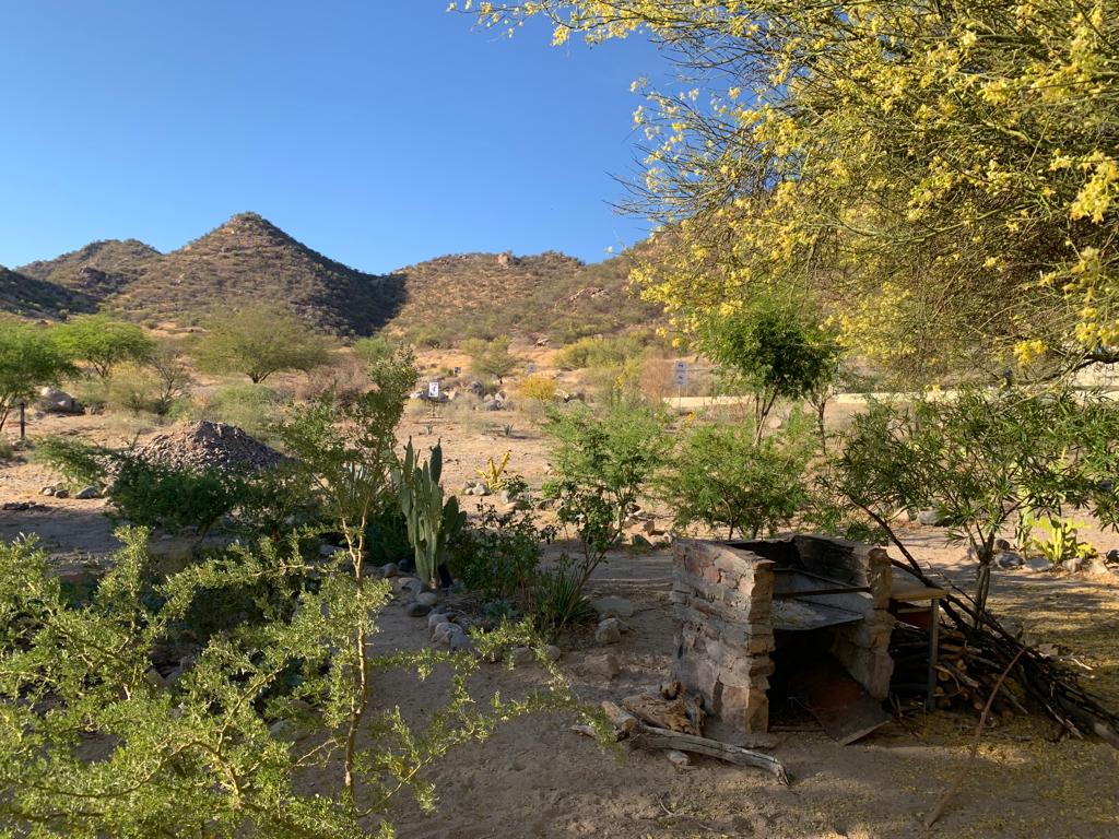 WhatsApp Image 2022-05-28 at 1.08.05 PM