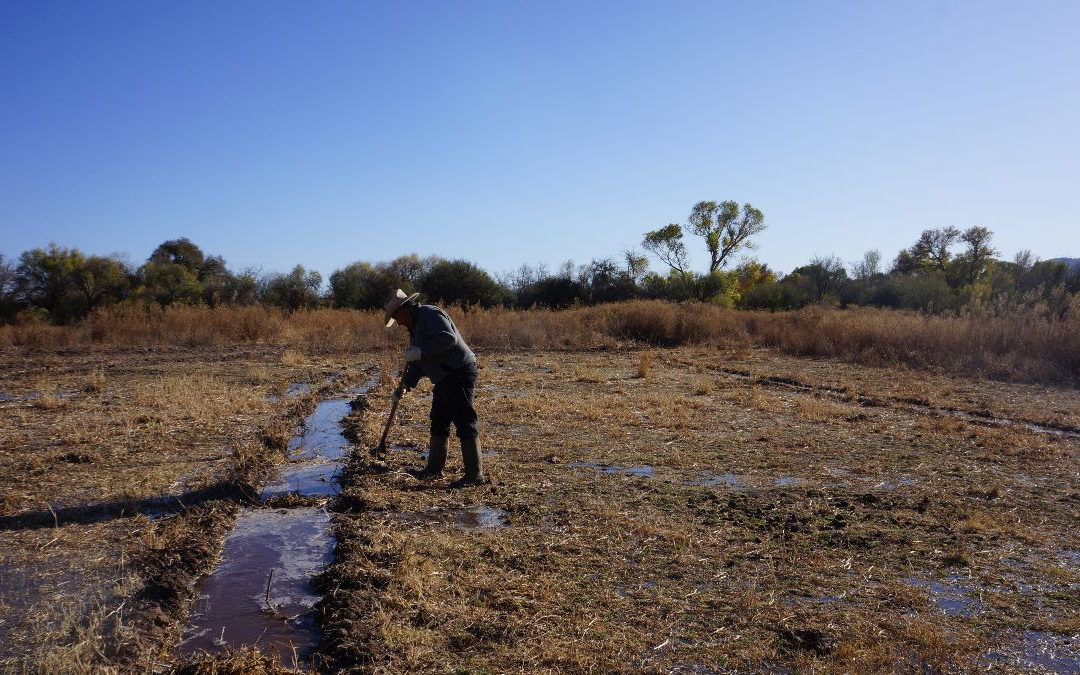 Reporte sobre plan de salud, potabilizadoras y costos económicos del derrame en el Río Sonora