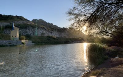 Apuntes de derecho ambiental: piensa global, actúa local