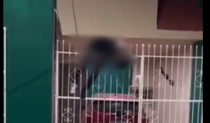 [VIDEO] Ladrón intentó robar una casa y quedó ensartado en las rejas