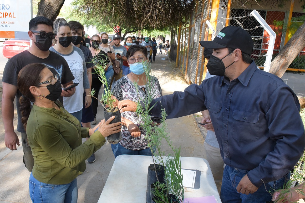Realiza-Vivero-Municipal-jornada-de-donacion-de-arboles-3