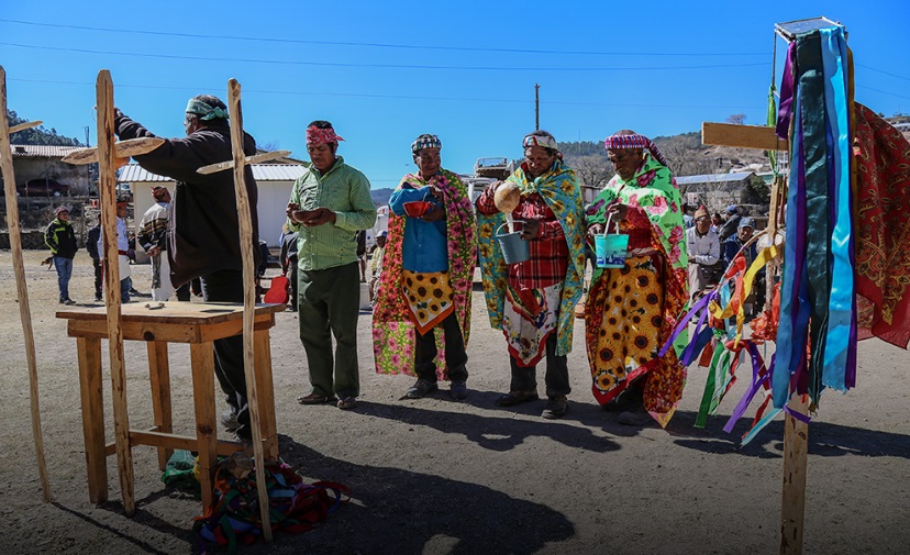 Curar la tierra y defenderla. La disputa por el territorio en la Sierra Tarahumara