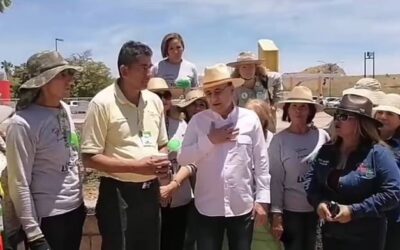 Empiezan las Obras en La Sauceda